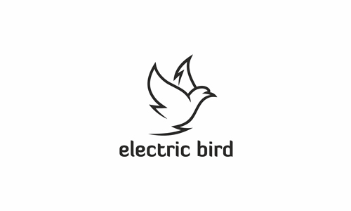 electric bird