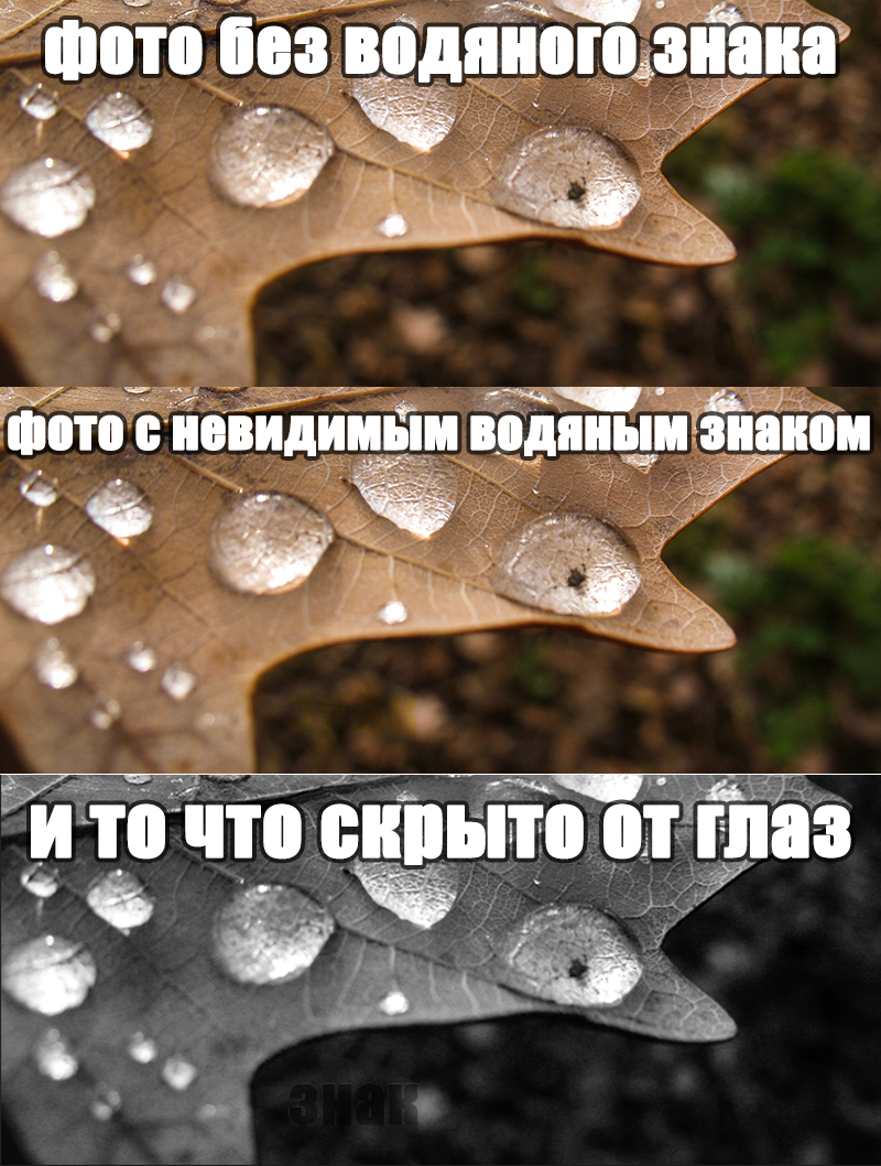 Невидимый водяной знак