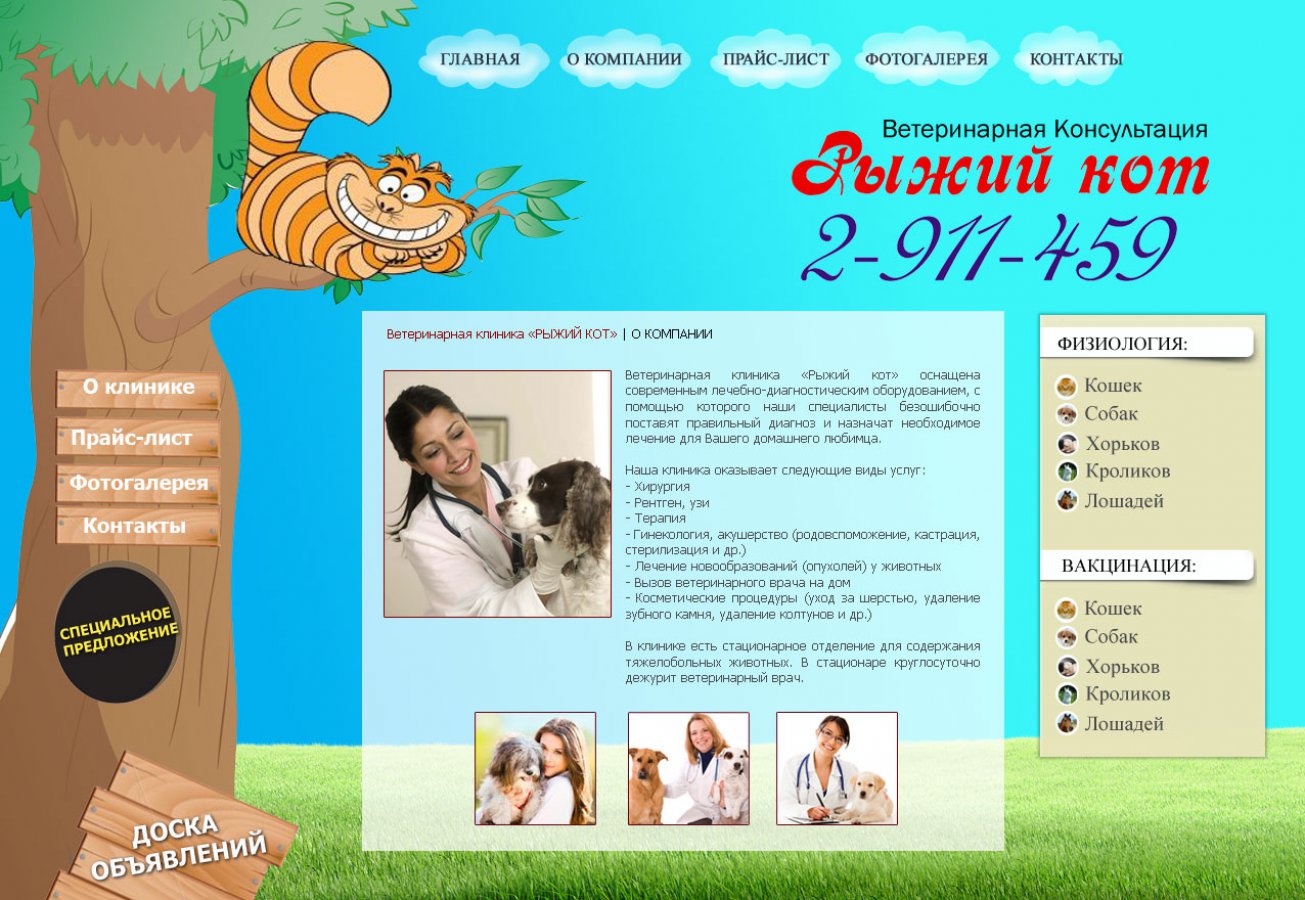 Рыжий кот