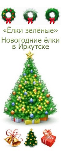Ёлки зелёные