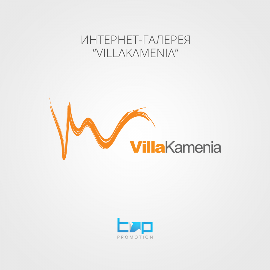 Разработка логотипа VillaKamenia