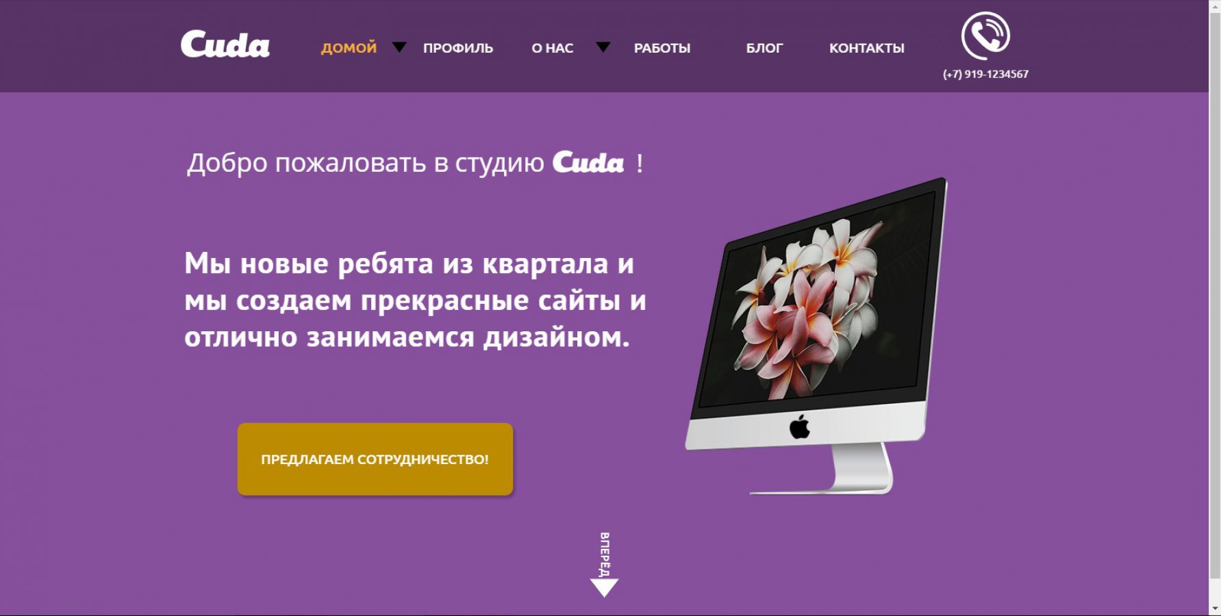 Студия Cuda