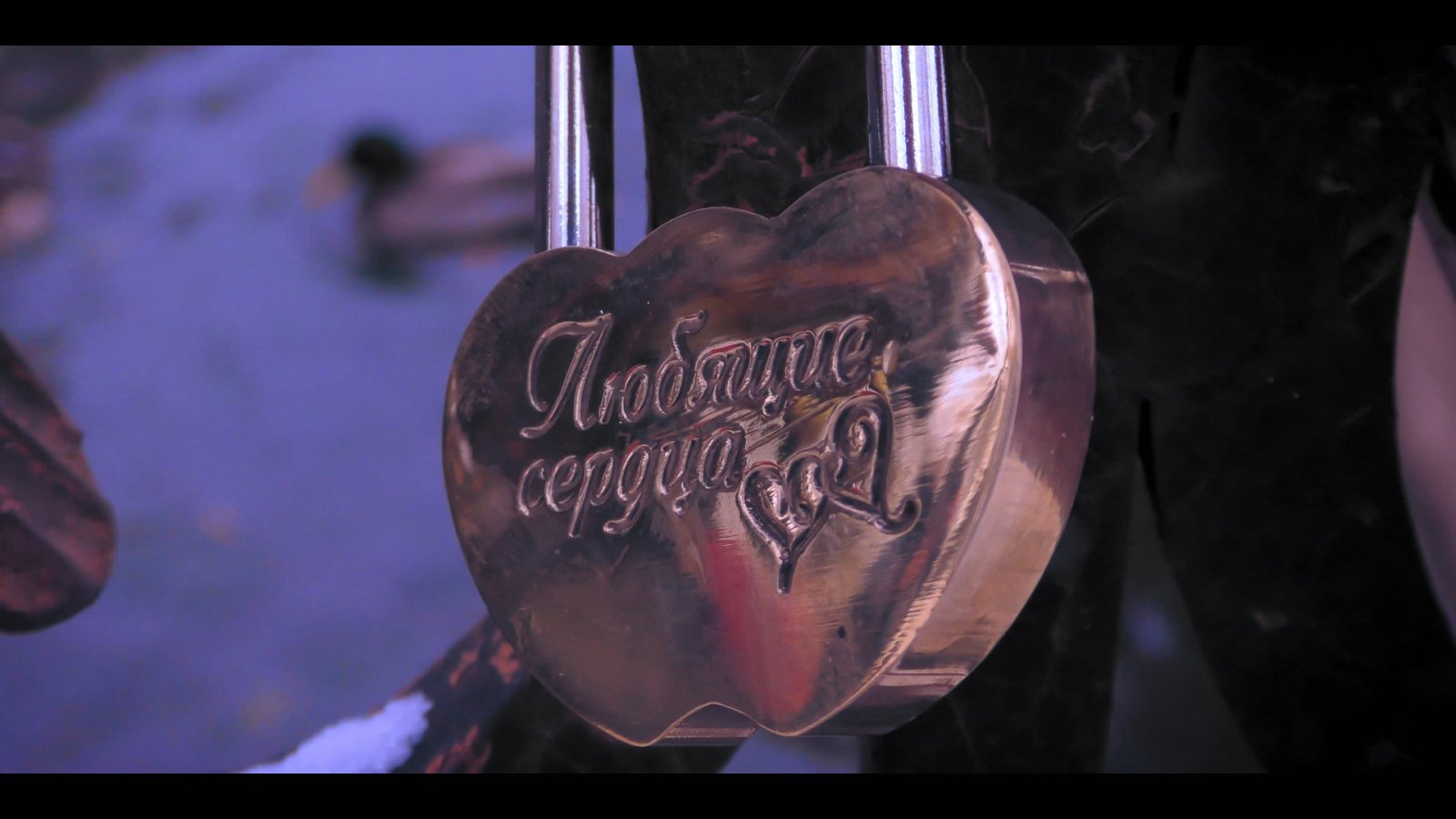 Съемка, монтаж, цветокоррекция свадебного клипа