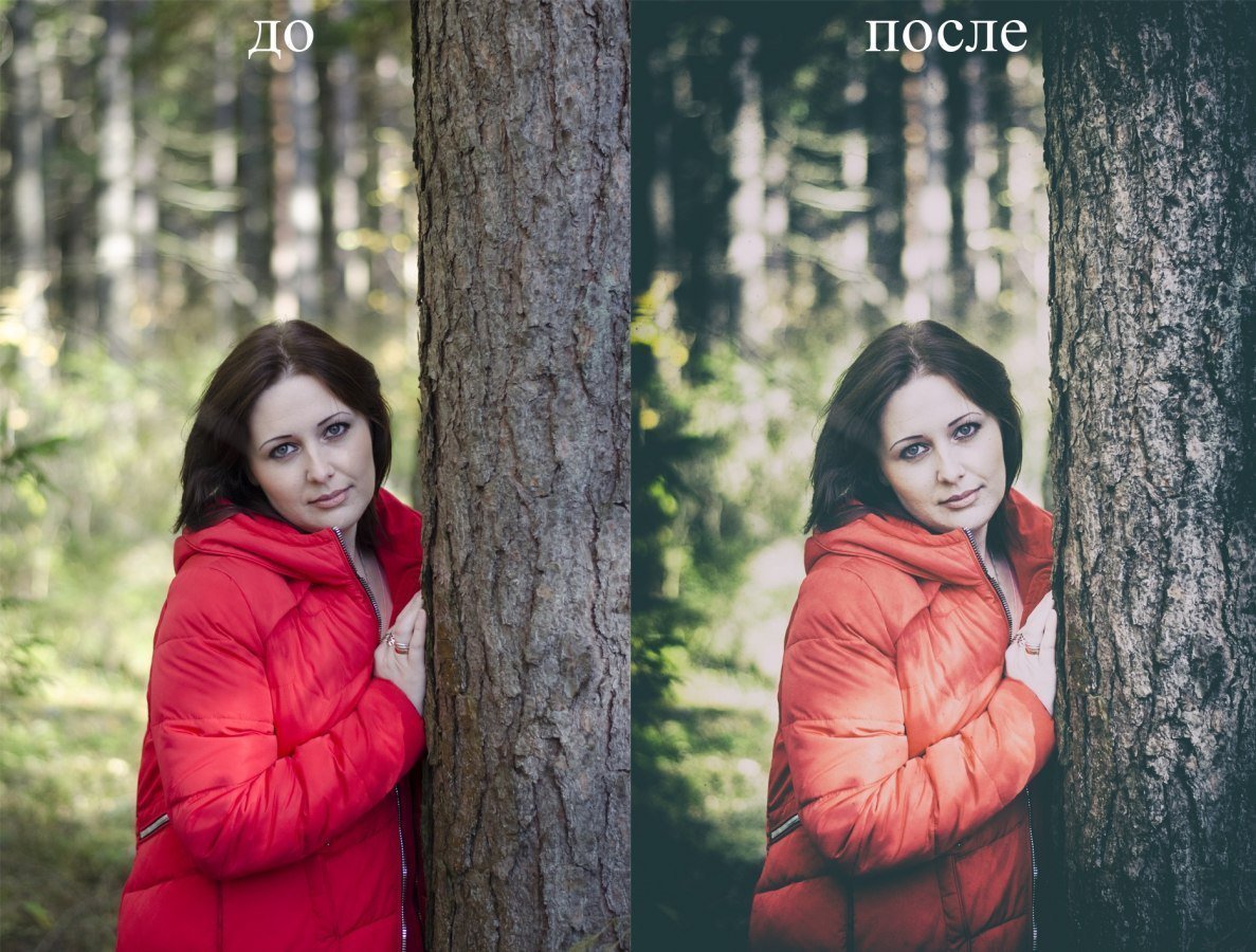 У дерева