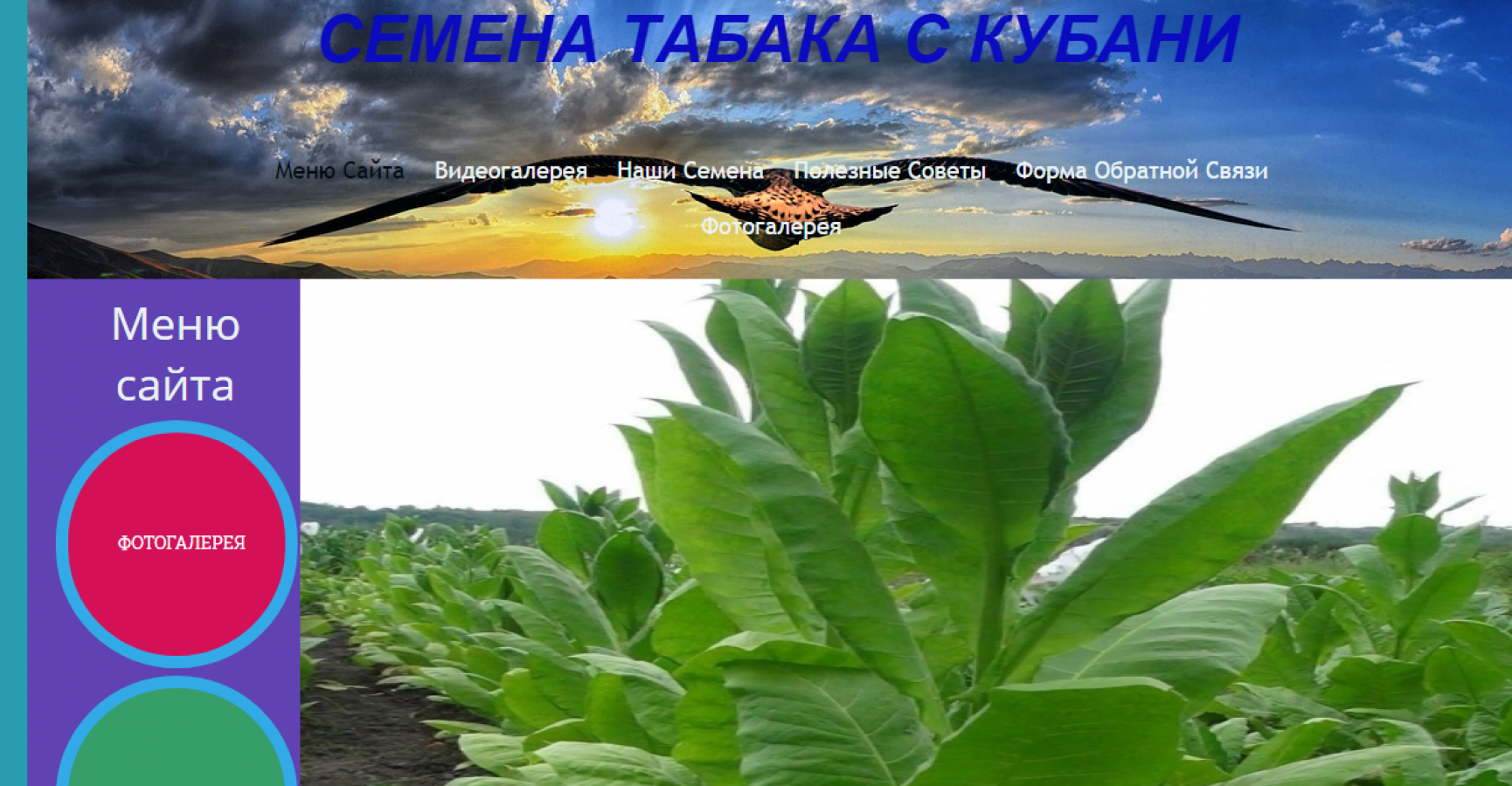 создание и продвижение сайтов