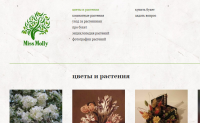 Наполнение сайта missmolly.ru
