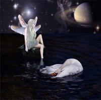 swan