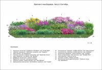 Фрагмент миксбордера. Осень